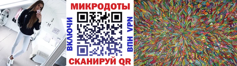 Галлюциногенные грибы Psilocybine cubensis  Котово 